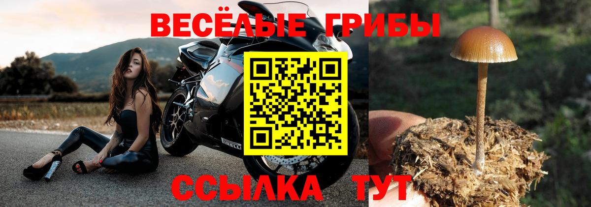 Кокаин  Йошкар-Ола  Конопля  Вход с VPN  Экстази  Продажа наркотиков  МЕФ кристаллы 