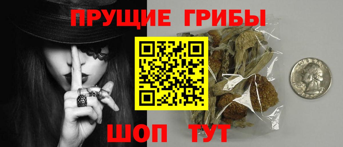 Галлюциногенные грибы GOLDEN TEACHER  Вход с VPN  Йошкар-Ола  Псилоцибиновые грибы Psilocybine cubensis 